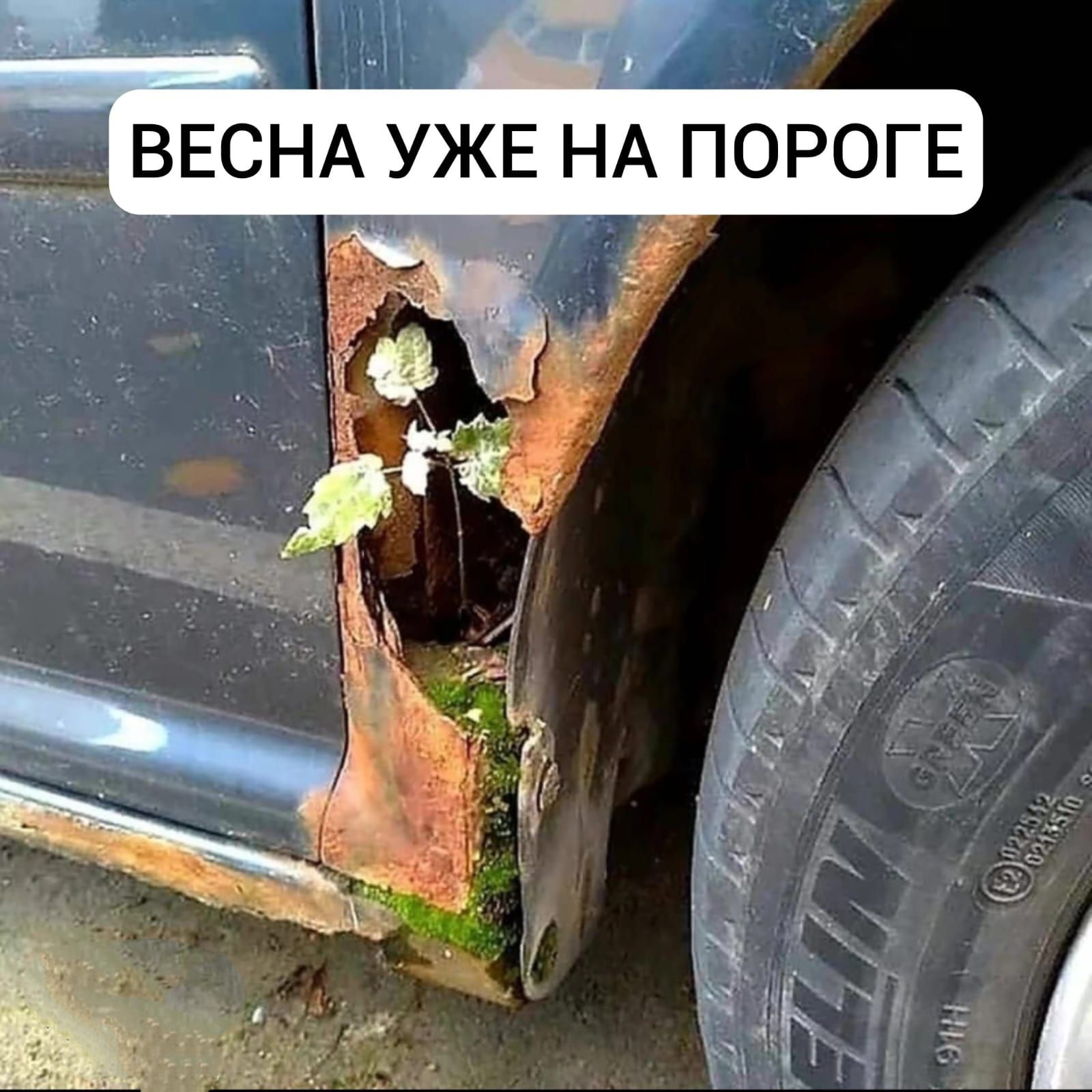 _ ч _ ВЕСНА УЖЕ НА ПОРОГЕ