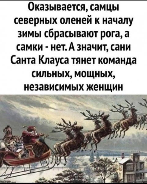 Оказывается самцы северных оленей к началу зимы сбрасывают рога а самки нет А значит сани Санта Клауса тянет команда СИЛЬНЫХ МОЩНЫХ независимых женщин _