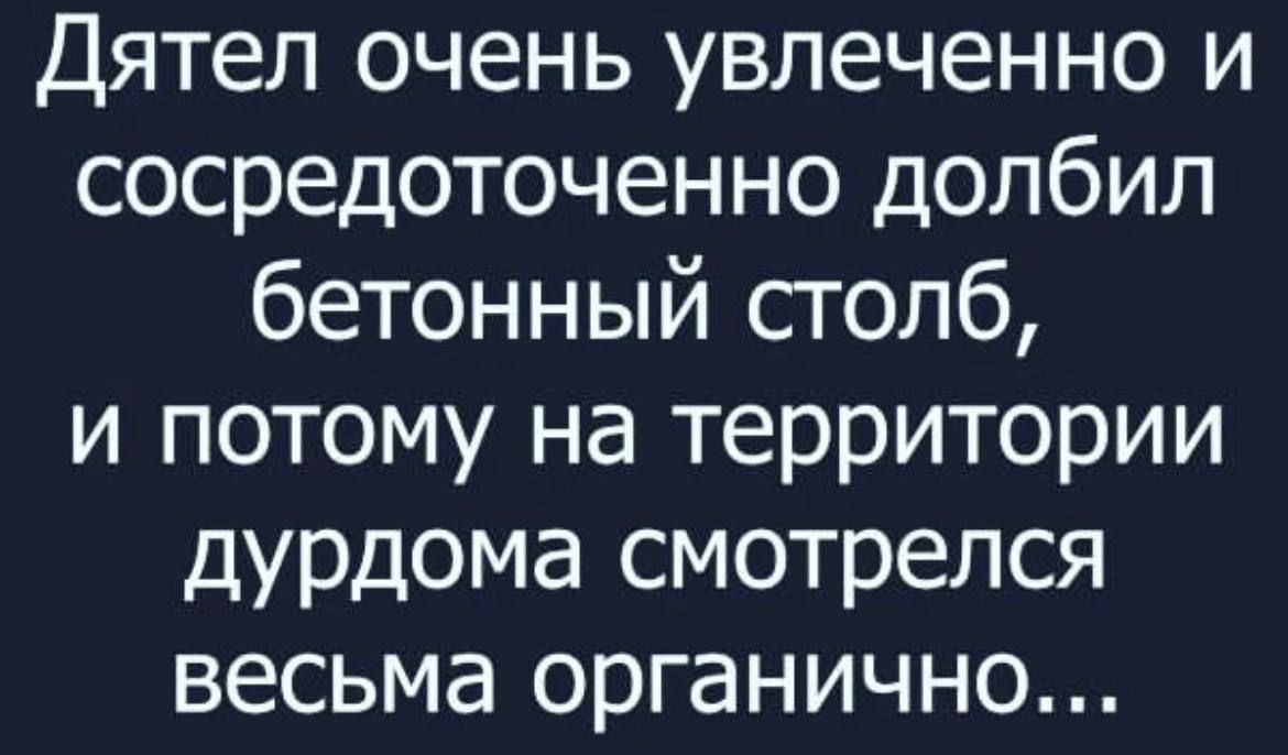 Дятел очень увлеченно и сосредоточенно долбил бетонный столб, и потому на территории дурдома смотрелся весьма organically...
