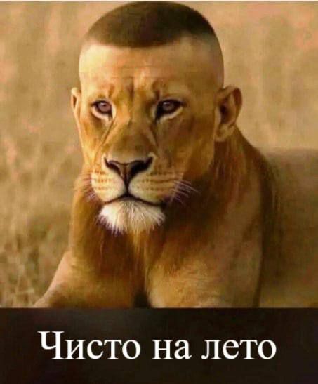 Чисто на лето