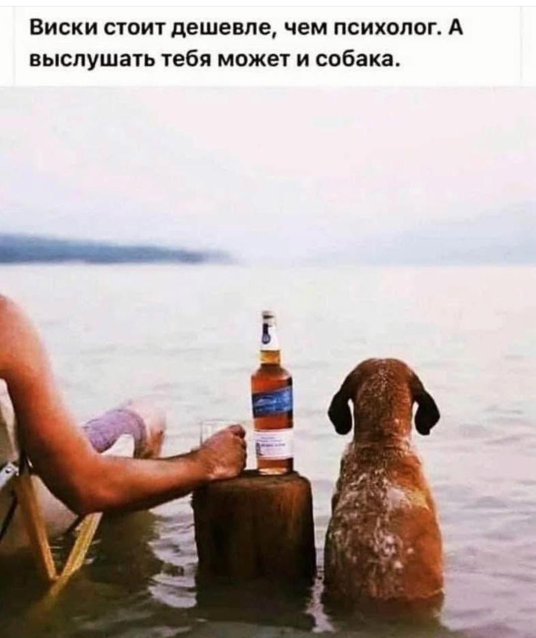 Виски стоит дешевле, чем психолог. А выслушать тебя может и собака.