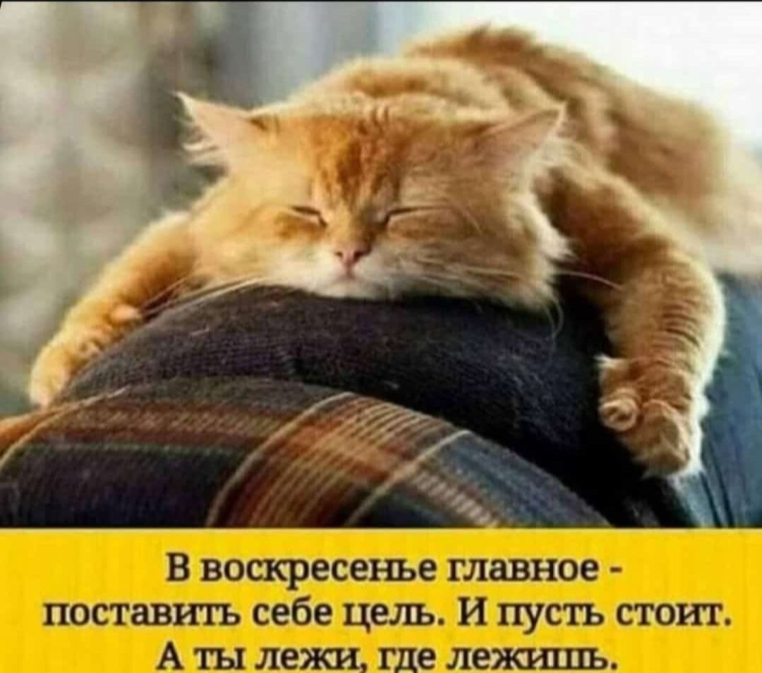 В воскресенье главное - поставить себе цель. И пусть стоит. А ты лежи, где лежишь.