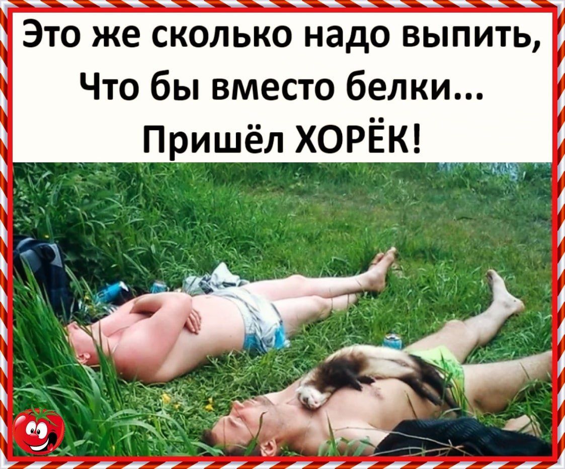 Это же сколько надо выпить, Что бы вместо белки... Пришёл ХОРЁК!