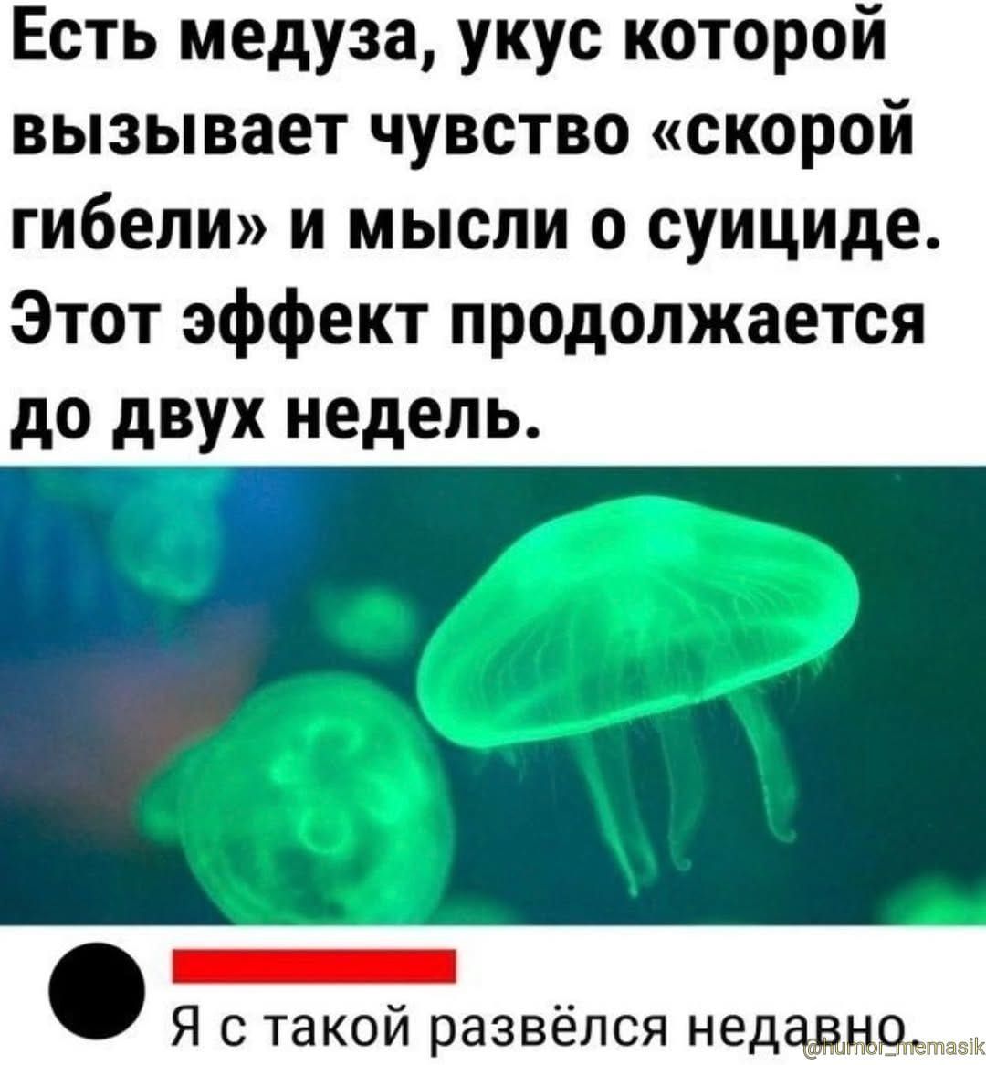 Есть медуза, укус которой вызывает чувство «скорой гибели» и мысли о суициде. Этот эффект продолжается до двух недель. Я с такой развёлся недавно.