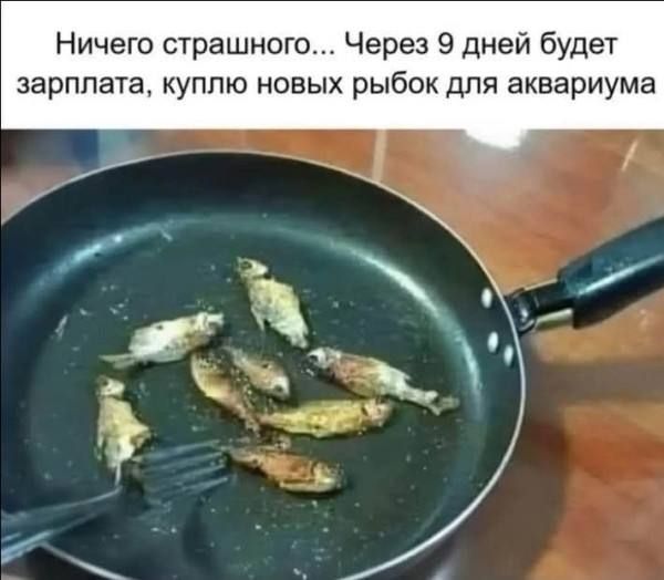 Ничего страшного... Через 9 дней будет зарплата, куплю новых рыбок для аквариума