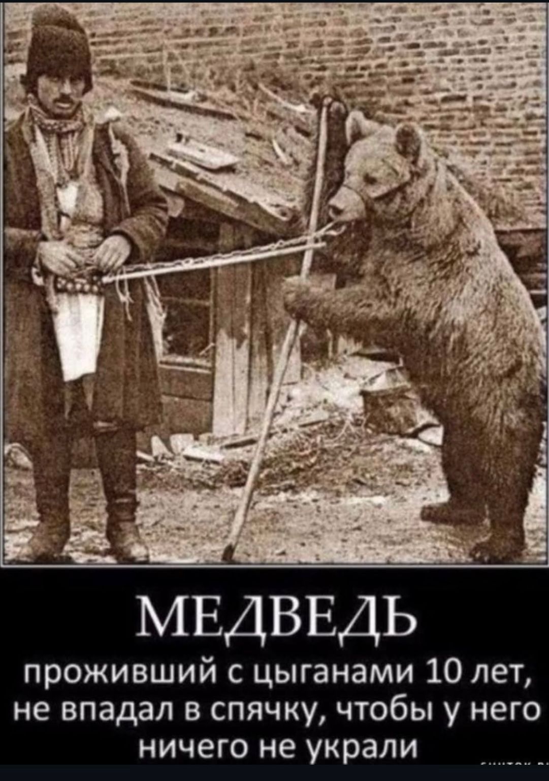 МЕДВЕДЬ проживший с цыганами 10 лет, не впадал в спячку, чтобы у него ничего не украли