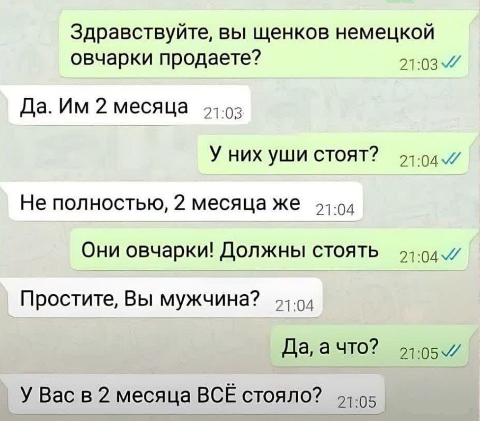 Здравствуйте, вы щенков немецкой овчарки продаете?
Да. Им 2 месяца
У них уши стоят?
Не полностью, 2 месяца же
Они овчарки! Должны стоять
Простите, Вы мужчина?
Да, а что?
У Вас в 2 месяца ВСЁ стояло?