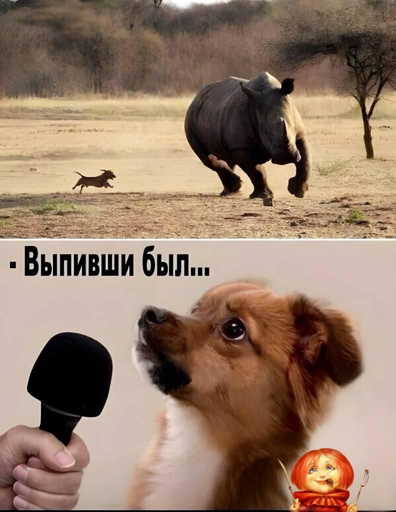 Выпивши был...