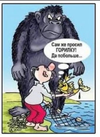 Сам же просил горилку Да побольше...