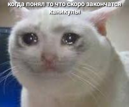ШЦЫ 133412111 Уизли СШ ЬЦ о ШП ины