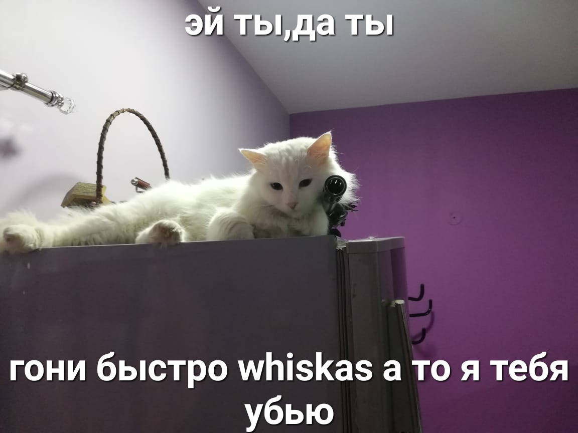 Погоню быстро. Я гоню быстро.