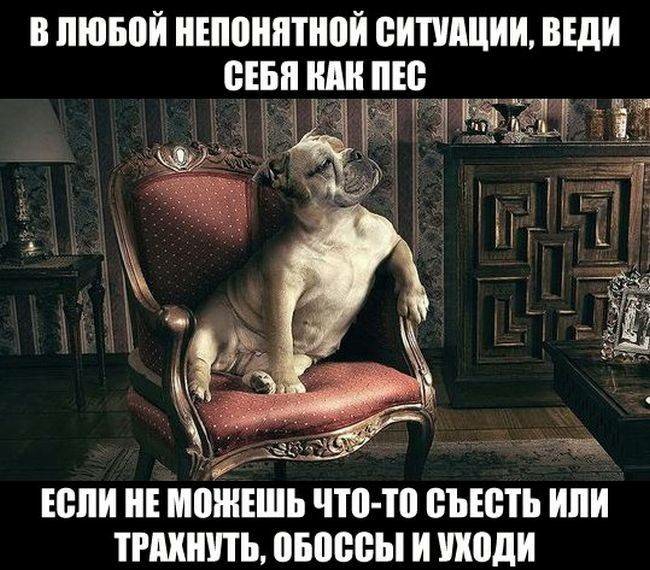 В ЛЮБОЙ НЕППНПШВЙ ВИШЩИЦ ВЕдИ СЕБЯ ШШ пн Если НЕ МШНЕШЬ что тп ВЪЮТЬ ИЛИ ТРАХНПЬ ВБЩЮЫ И поди