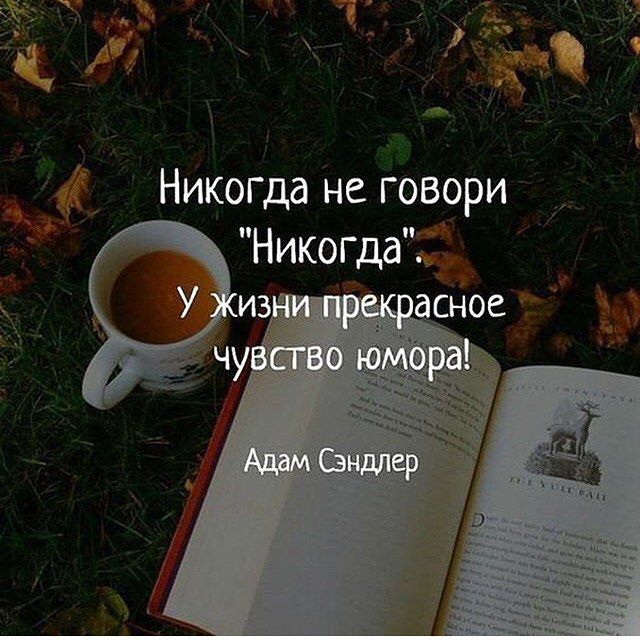 Никогда не говори 