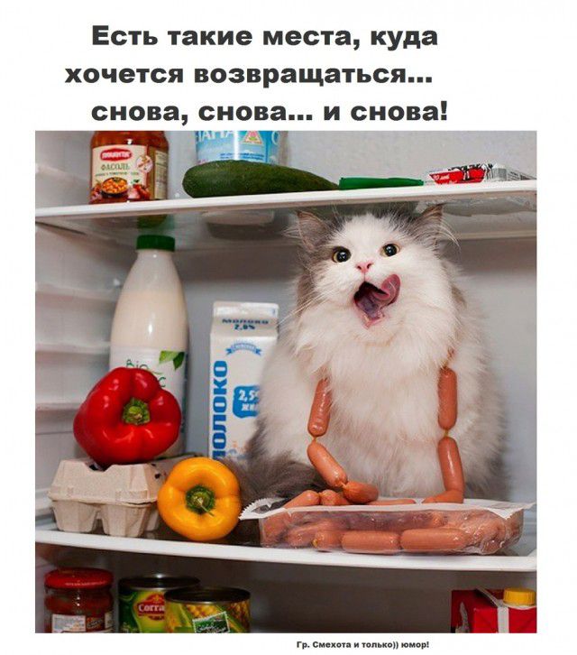 Есть такие места куда хочется возвращаться снова снова и снова с м