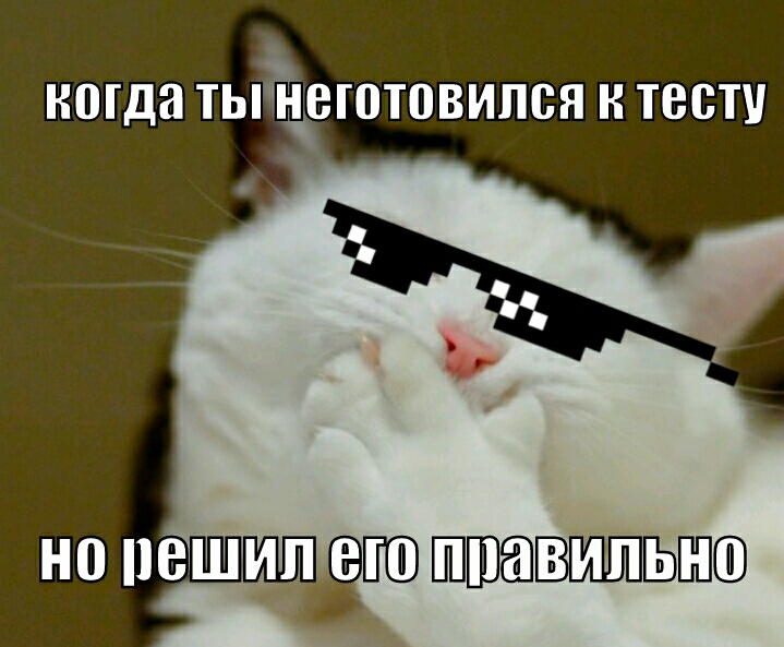 когда ТЫЁВЮТПВИПСЯ Н ТВСТУ но пеши ет Шшавипшппсв