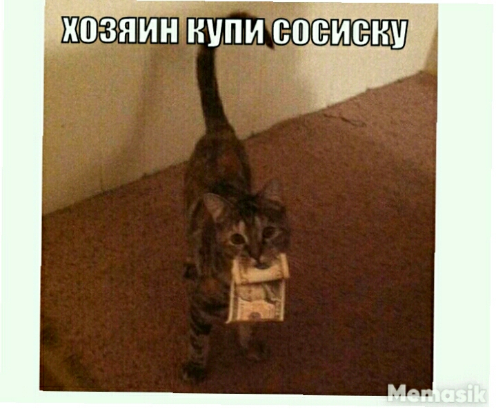 озяин купи навивки
