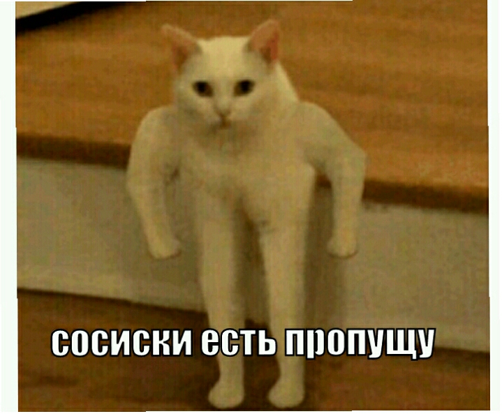 ы СВСИСНИ ВСТЬ П10ПУЩУ