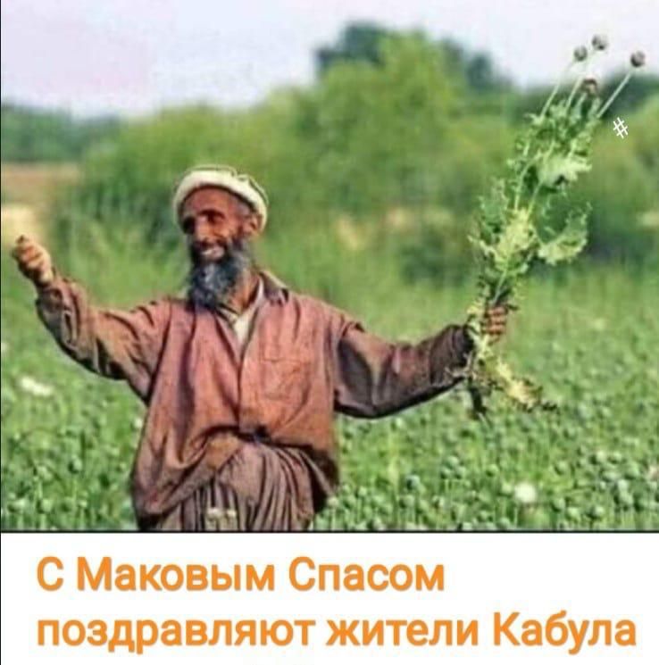 с Мвковым Спаоом поздравляют жители Квбупа