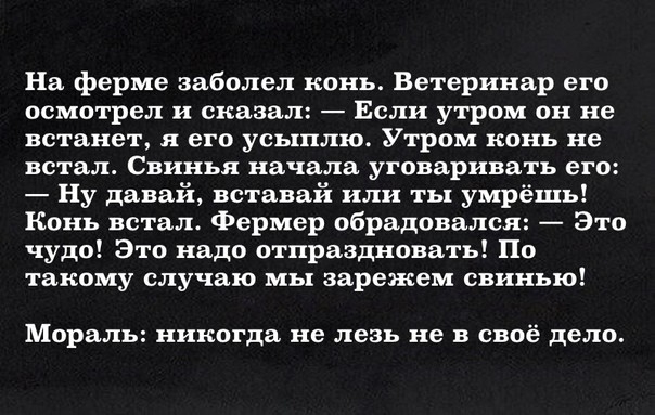 На ферме заболел конь Ветеринар его осмотрел и сказал Если утром он не встанет Я его усыплю Утром конь не встал Свинья начала уговаривать его Ну давай вставай или ты умрёшь Конь встал Фермер обрадовался Это чудо Это надо отпраздновать По такому случаю мы зарежем свинью Мораль никогда не лезь не В своё дело