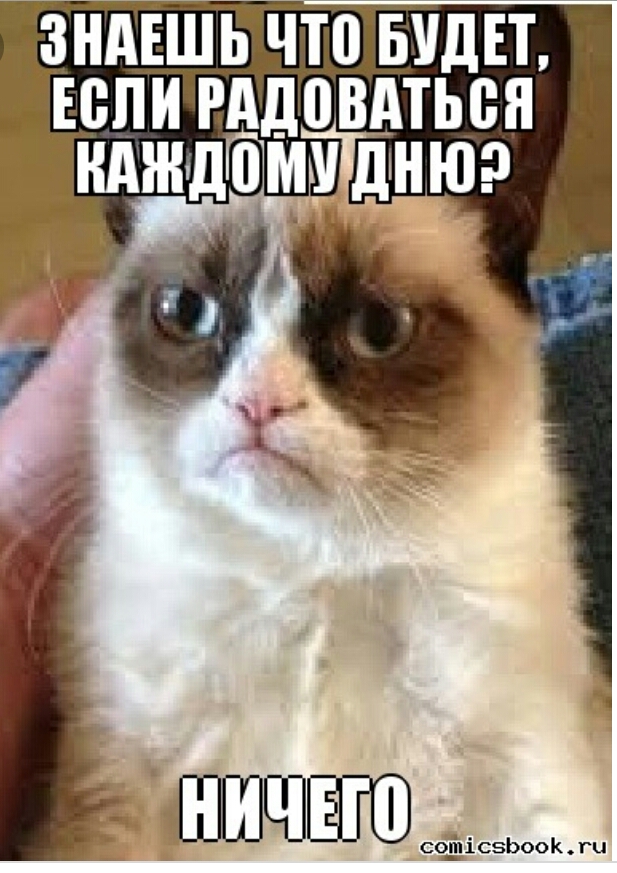 зндвшь что ыщвт юпи гддовдтьен _ нтндГбми д