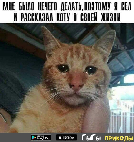 МНЕ БЫЛИ ИЕЧЕП дЕИИТЬИИ3ИМУ И ЕЕ И РМШИАЗМ ИЩУ И ПВПЕИ ЖИЗНИ АБЬзкдш ГыГы ПРИКОЛЫ