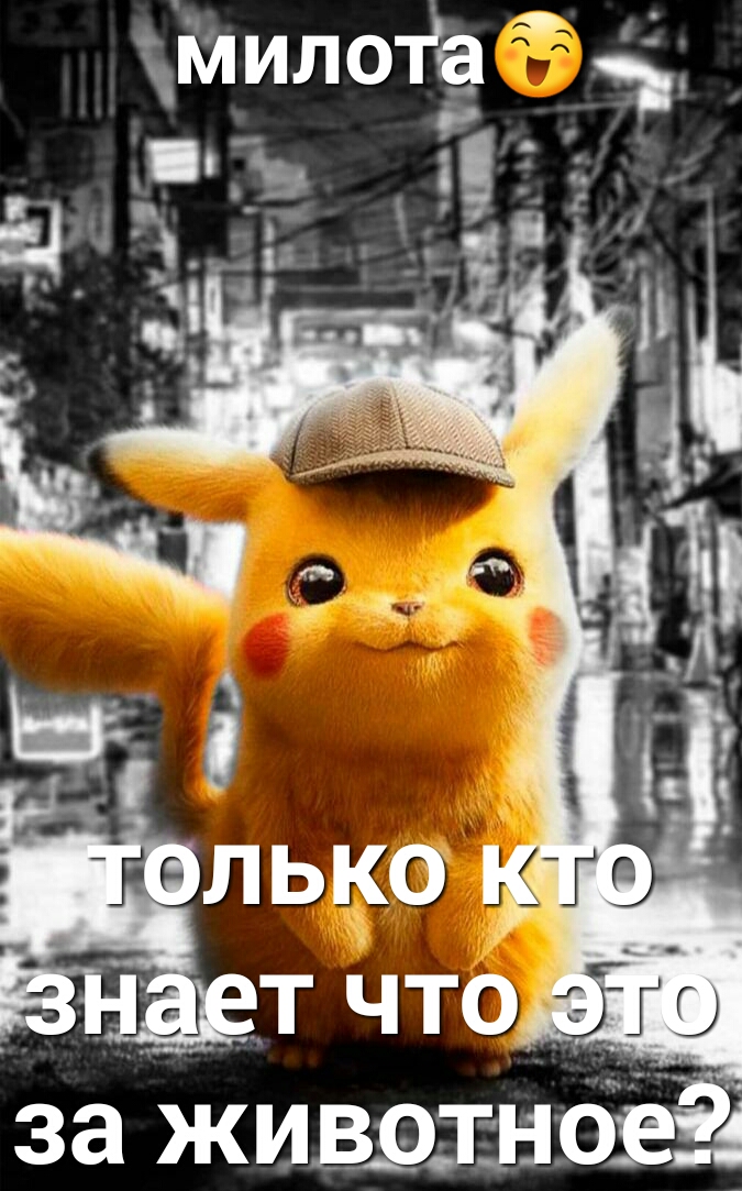 за жившзо