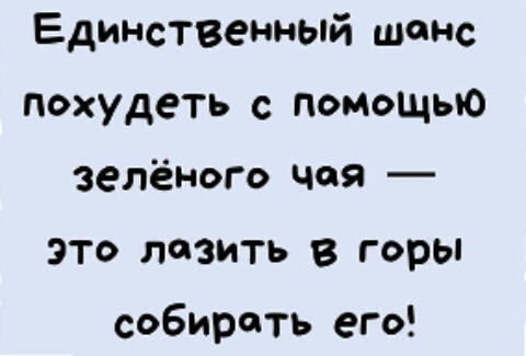 Единственный шанс похудеть с помощью зелёного чая это лазить в горы собирать его