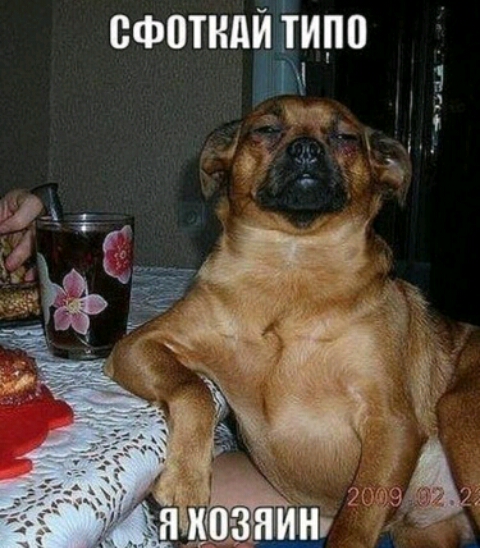 сфоткди ітипо и _ 5