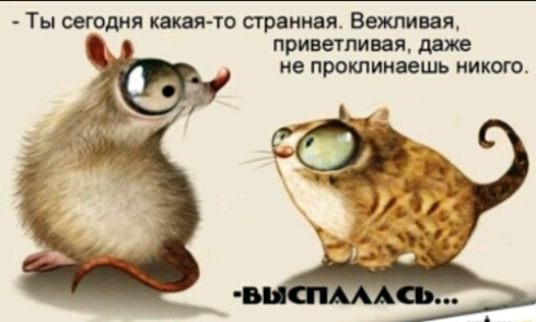Ты сегодня какая то странная Вежливя приветливая по проклинать никого