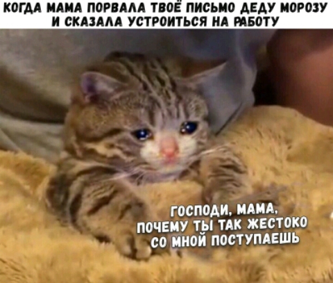 КОГДА МАМА ПП АА ТПЕ ПИСЬМО АЕАУ ИОРОЗУ И СКАЗААА устгоиться НА ПБЦТУ ГОСПОАИ МАМА ПОЧЕМУ Т_Ы ТАК ЖЕСТОКО _00 ИНОИ ПООТУПАЕШЬ