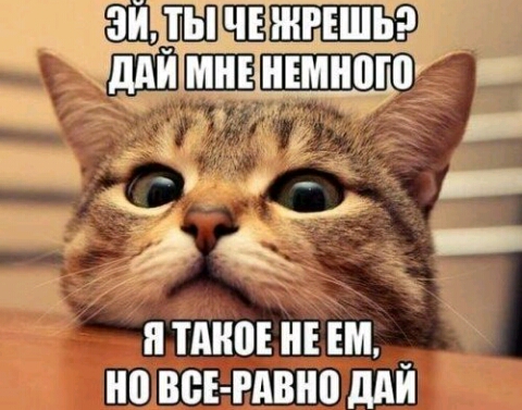 щи т нзшьт дд МШ НЕМНПГП я ТМЮЕ Е Ш _ но ВВЕ РАВНП ддИ
