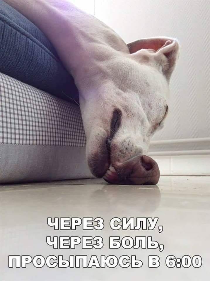ЧЁБЭЁЁЗ ШШ ЁЁЗ ЫЁ