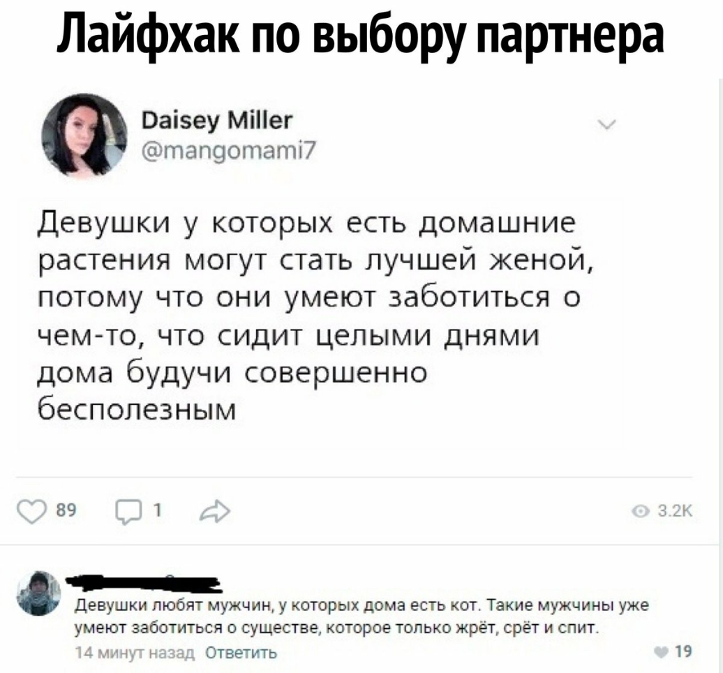 Лайфхак по выбору партнера Ваізеу Міег ёёіталоотатт Девушки у которых есть домашние растения могут стать лучшей женой потому что они умеют заботиться о чем то что сидит целыми днями дома будучи совершенно бесполезным 89 1 Девушки любят мужчин у которых дома есть кот Такие мужчины уже умеют заботиться о существе которое только жрёт срёт и спит _ Ответить 19