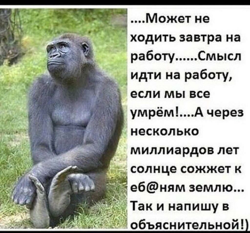 Может не ходить завтра на работуСмысл идти на работу если мы все умрёмА через несколько миллиардов лет ак и напишу в бъяснительной