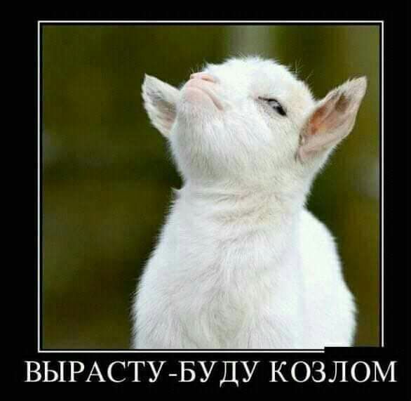 ВЫРАСТУБУДУ КОЗЛОМ