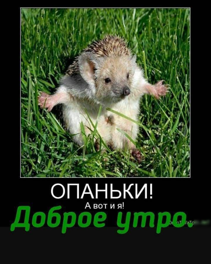 ОПАНЬКИ Авот и я