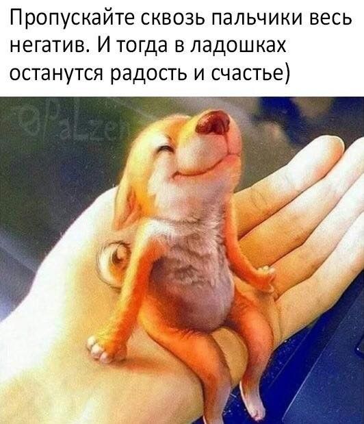 Пропускайте сквозь пальчики весь негатив И тогда в ладошках останутся радость и счастье