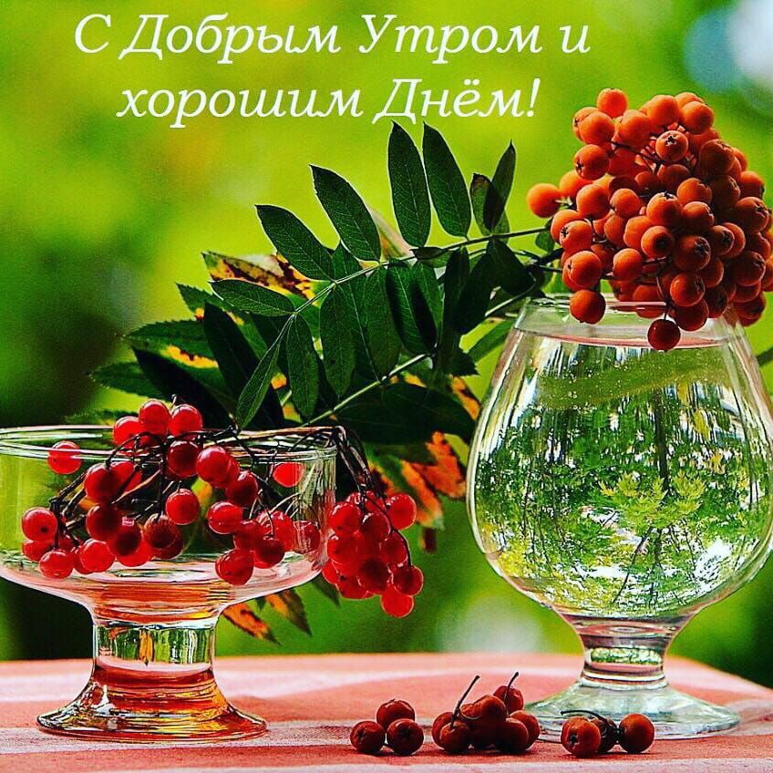 СДобрым Утром и хорошим Днём щ 54