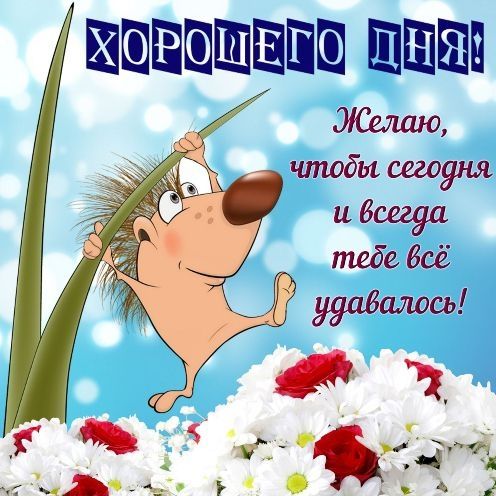 тышп ШШШ ЗіСшшю