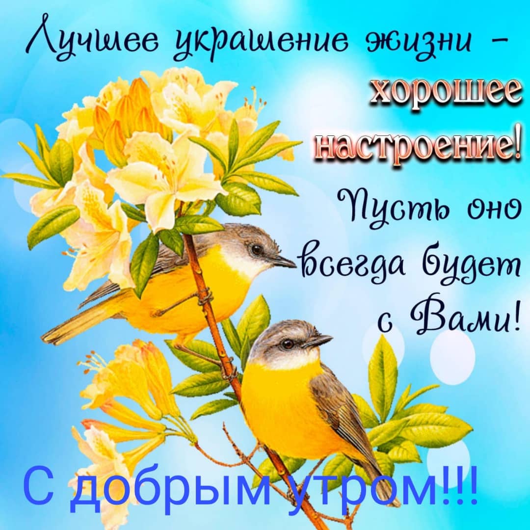 Адчшее діфашение эюидни А _
