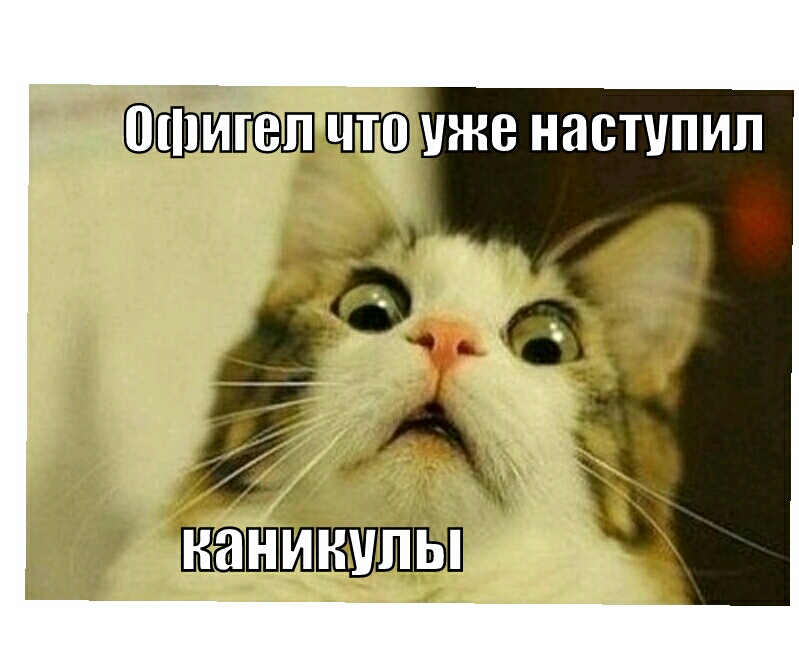 ППП