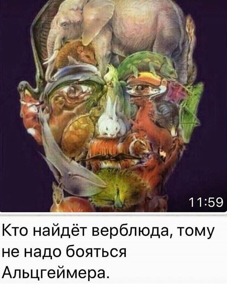 1159 Кто найдёт верблюда тому не надо бояться Альцгеймера