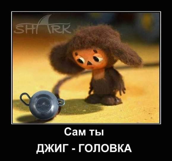 Сам ты дЖИГ ГОЛОВКА