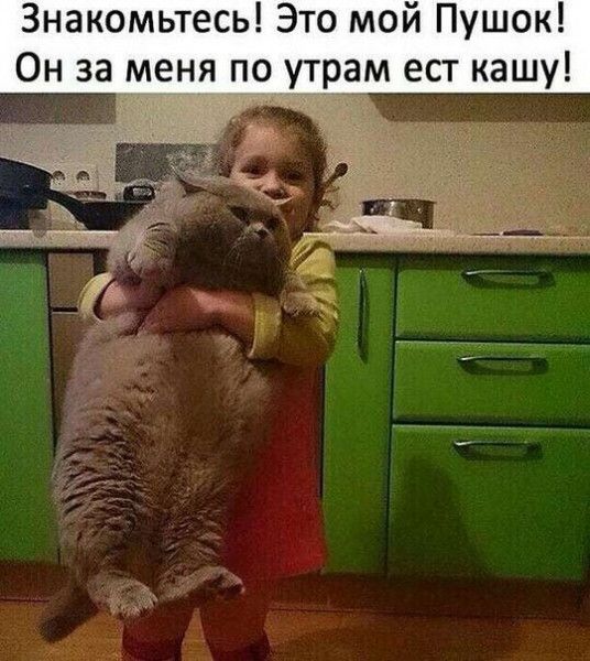 Знакомьтесь Это мой Пушок Он за меня по у_трам ест кашу