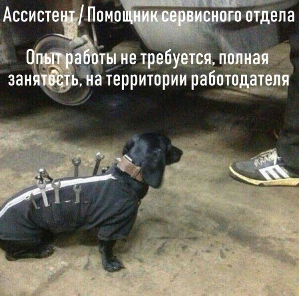 Ассисте __ фейм ЁЁ Йа іерритории рабп__т_с_1 ат