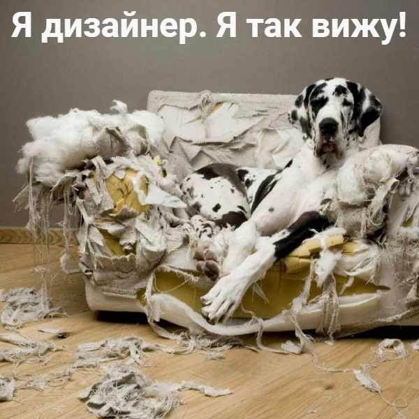 Я дизайнер Я так вижу