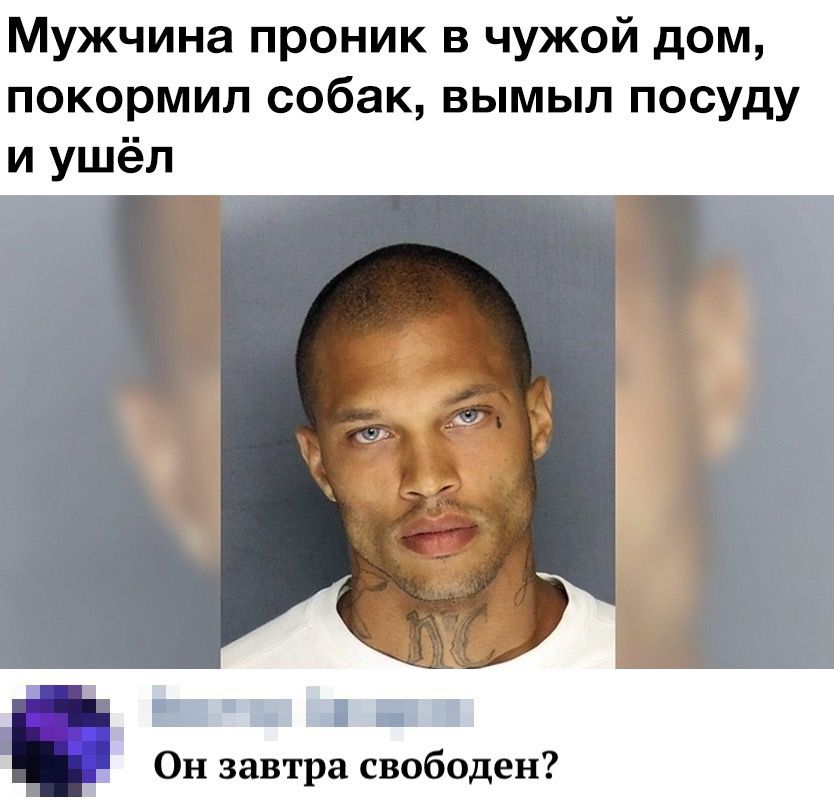 Мужчина проник в чужой дом покормил собак вымыл посуду и ушёл Ё Ь э Он завтра свободен