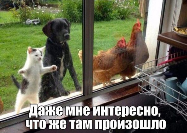 и __ _ дажщмне интепесно что же там ШЮИЗОШЕЮ
