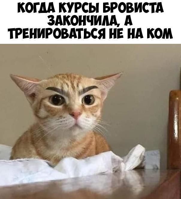 КОГ М КУРСЫ БРОВИСТА ЗАКОНЧИМ А ТРЕНИРОВАТЬСЯ НЕ НА КОМ