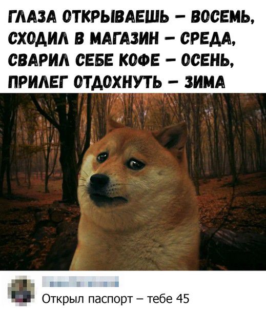 Г ААЗА ОТКРЫВАЕШЬ ВООЕМЬ ОХОАИА В МАГАЗИН ОРЕАА ОВАРИА СЕБЕ КОФЕ ОСЕНЬ ПРИАЕГ ОТДОХНУТЬ ЗИМА Открыл паспорт тебе 45